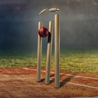 Update Cricket  WhatsApp group icon