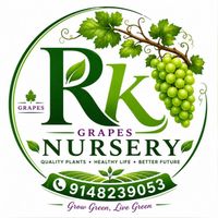 R k nursery grapes (plants )🌱🍇 WhatsApp group icon