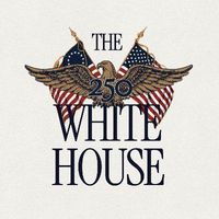 DAY TRADES🤑 WhatsApp group icon
